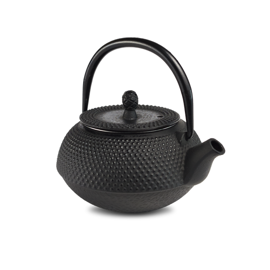 Iron Teapot - Tetsubin